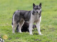Beauty 18-3-24 (1 von 1)