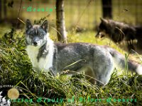 Beautyi 1-9-24 (1 von 1)