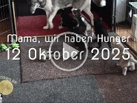 wir haben Hunger 2025-10-12