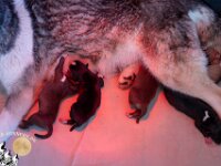 21-04-26 (5 von 6)-2