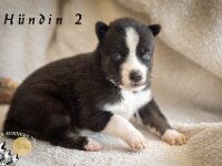 10-5-26 (1 von 6)
