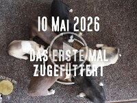 10-Mai26