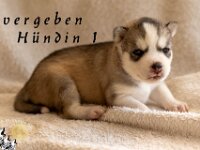 H1 10-5-26 (8 von 12)